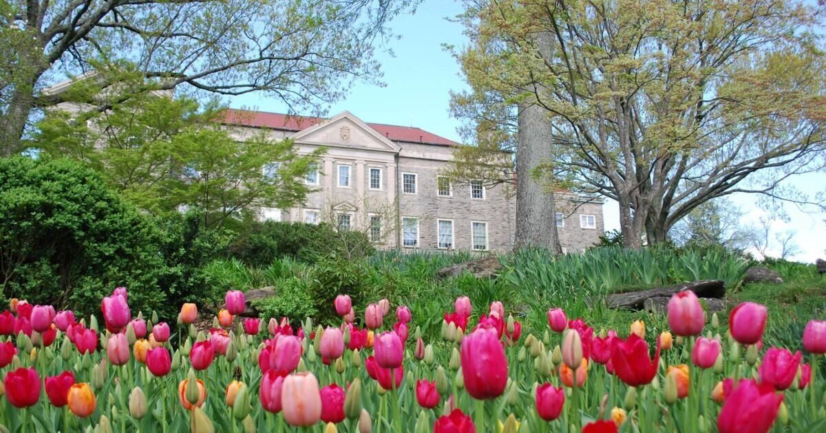 Cheekwood, Swan Ball Group Reach Settlement